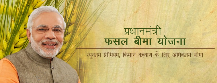Farmers embrace crop insurance scheme as PMFBY sees 27% rise in enrolment