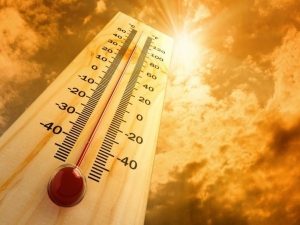 IMD issues orange alert for Kerala's Palakkad amid strong heatwave