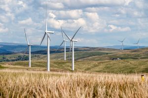Towards clean energy: Report on energy transitions to achieve India’s net-zero targets launched