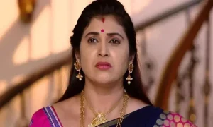 South TV actor Pavithra Jayaram passes away in road accident