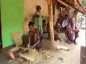 Voting dilemma: Caught between Odisha and Andhra Pradesh, Kotia set to vote on May 13