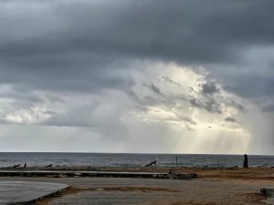 Monsoon rains arrive early in Kerala