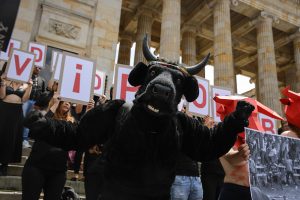 Colombia's Congress bans bullfights
