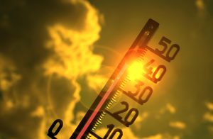 Beat the Heat: Innovative tips to stay cool and hydrated