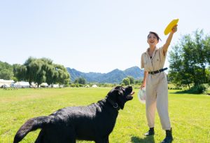 More Chinese jump through hoops, crawl under nets to foster ties with pets