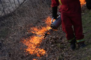 Western Canada blazes cause evacuations, air quality concerns