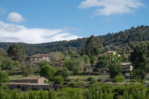 Thousands protest against mass tourism in Spain's Balearic Islands