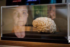 Europe sets benchmark for rest of the world with landmark AI laws