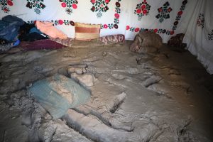 Fifty dead in heavy rain, floods in central Afghanistan