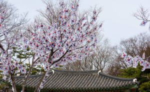 South Korea discusses joining part of AUKUS pact with US, UK and Australia