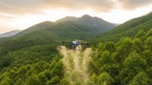 Seed-dropping drones seek to halt Kosovo's deforestation