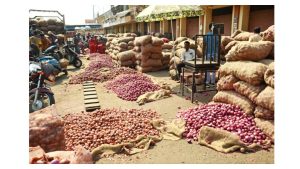 India lifts ban on onion exports after robust production