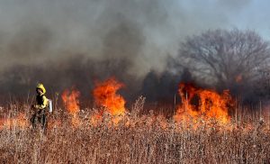 Greek summer wildfire threat nears, outpacing plans to contain it