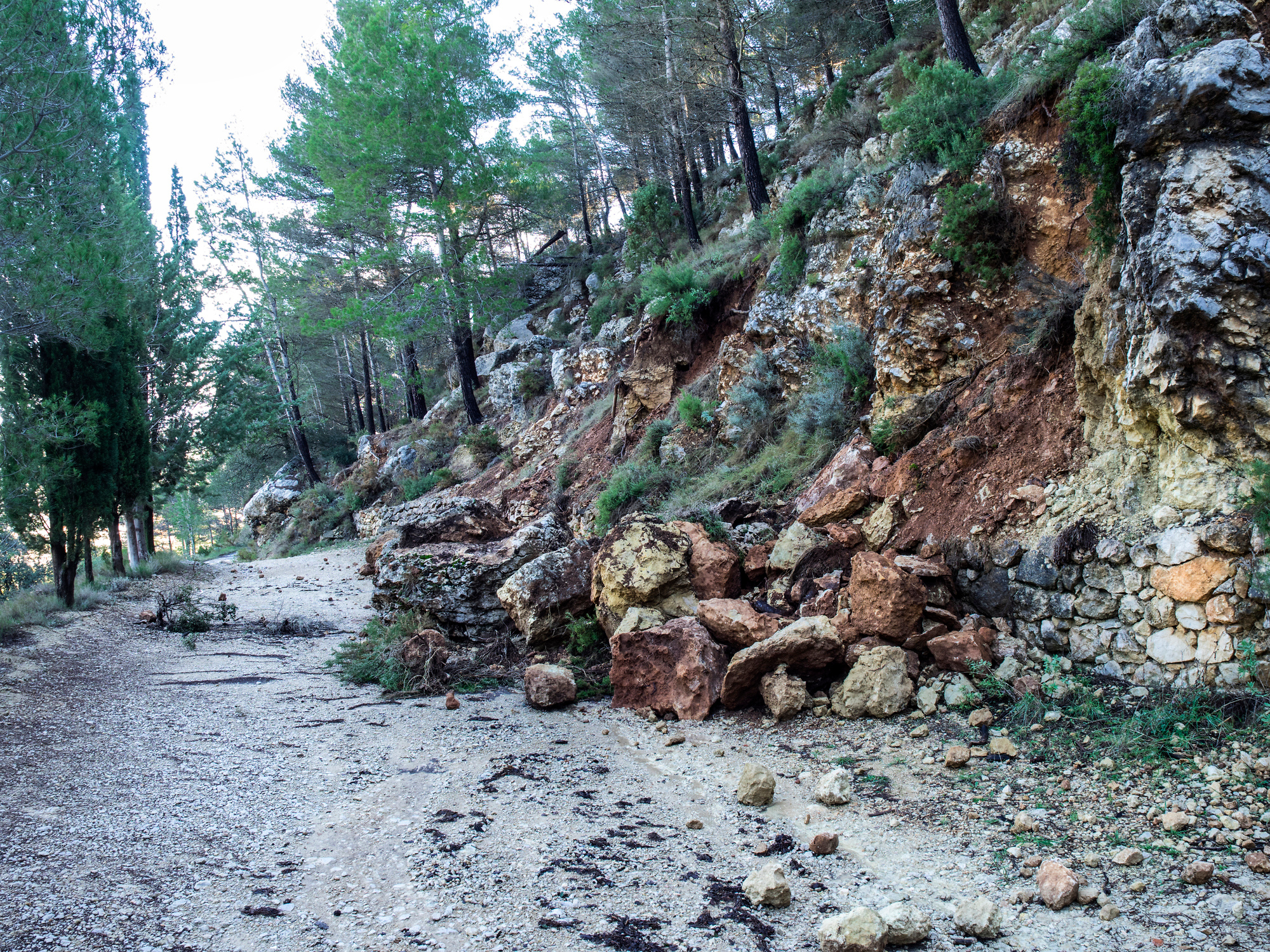 Heavy rain, landslides kill 6 in Sikkim, 2,000 tourists stranded