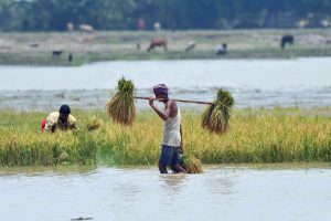 Heavy rainfall continues in Northeast India, heat wave grips Northern plains