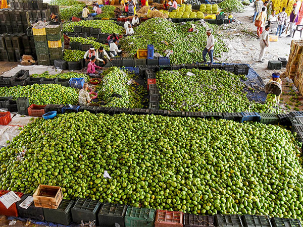 WPI Food Index increased from 5.52 pc in April to 7.40 pc in May