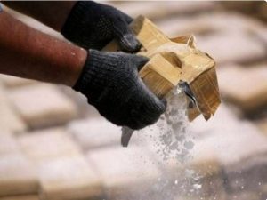 Dire need to combat drug addiction, only one in 11 addicted get treatment: UNDOC