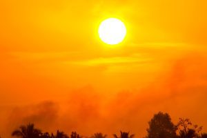 Heatwaves, droughts and wildfires costing Europe billions each year
