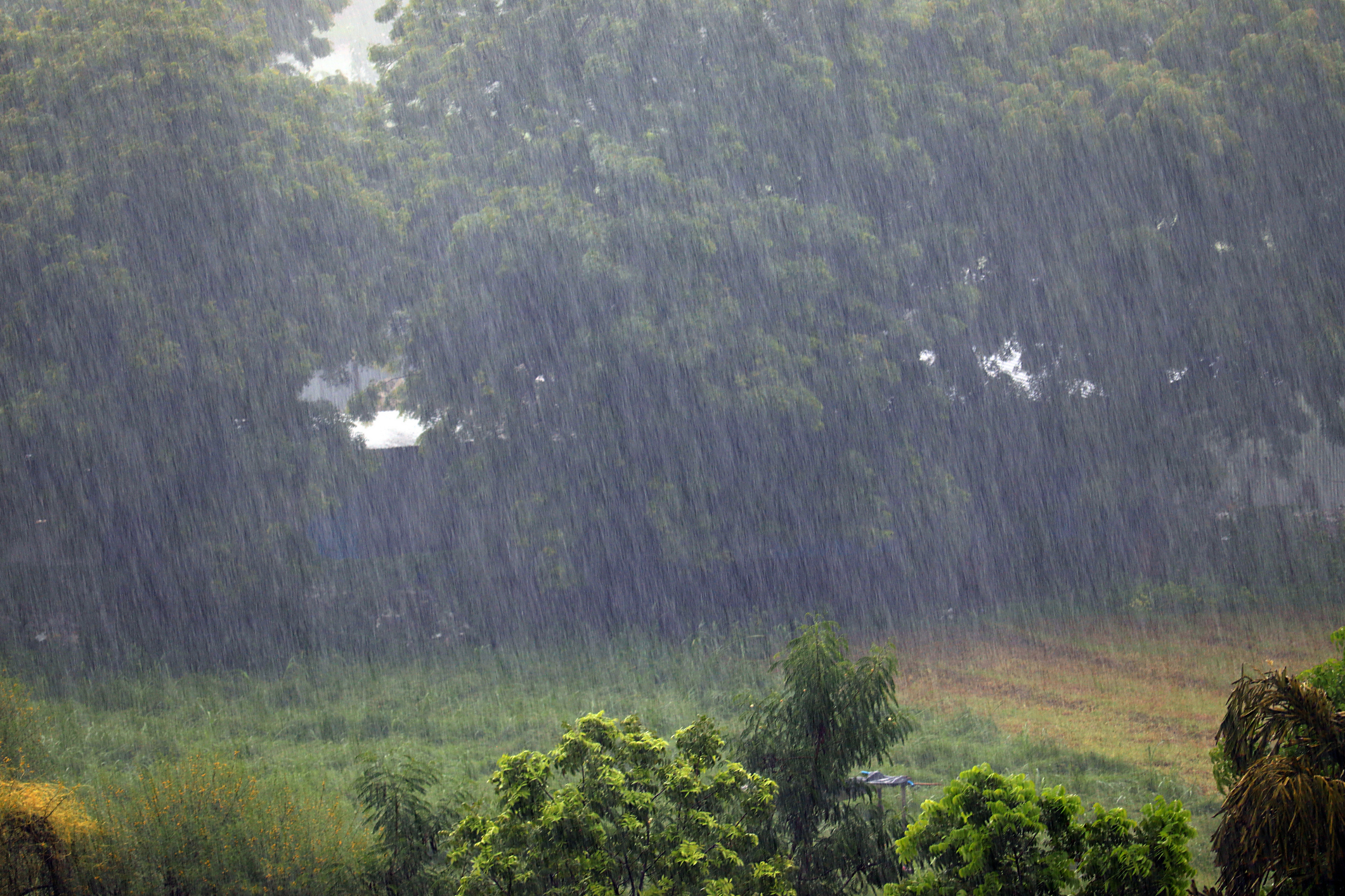 Heavy rainfall expected across India as monsoon advances