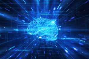 Study shows how human memory works and gets stored beyond the brain