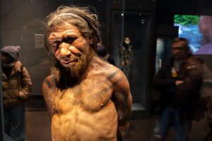 Fossil of child with Down syndrome hints at Neanderthal compassion