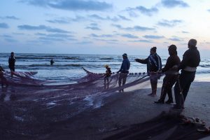 India records all-time high sea food export in FY 24