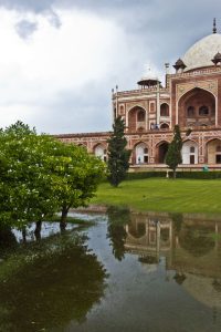 Monsoon set to cover entire nation on schedule: IMD