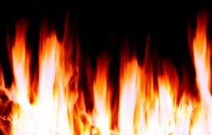 Forest fire in Uttarakhand's Almora: 4 firefighters died, 4 injured while dousing fire in Binsar forest