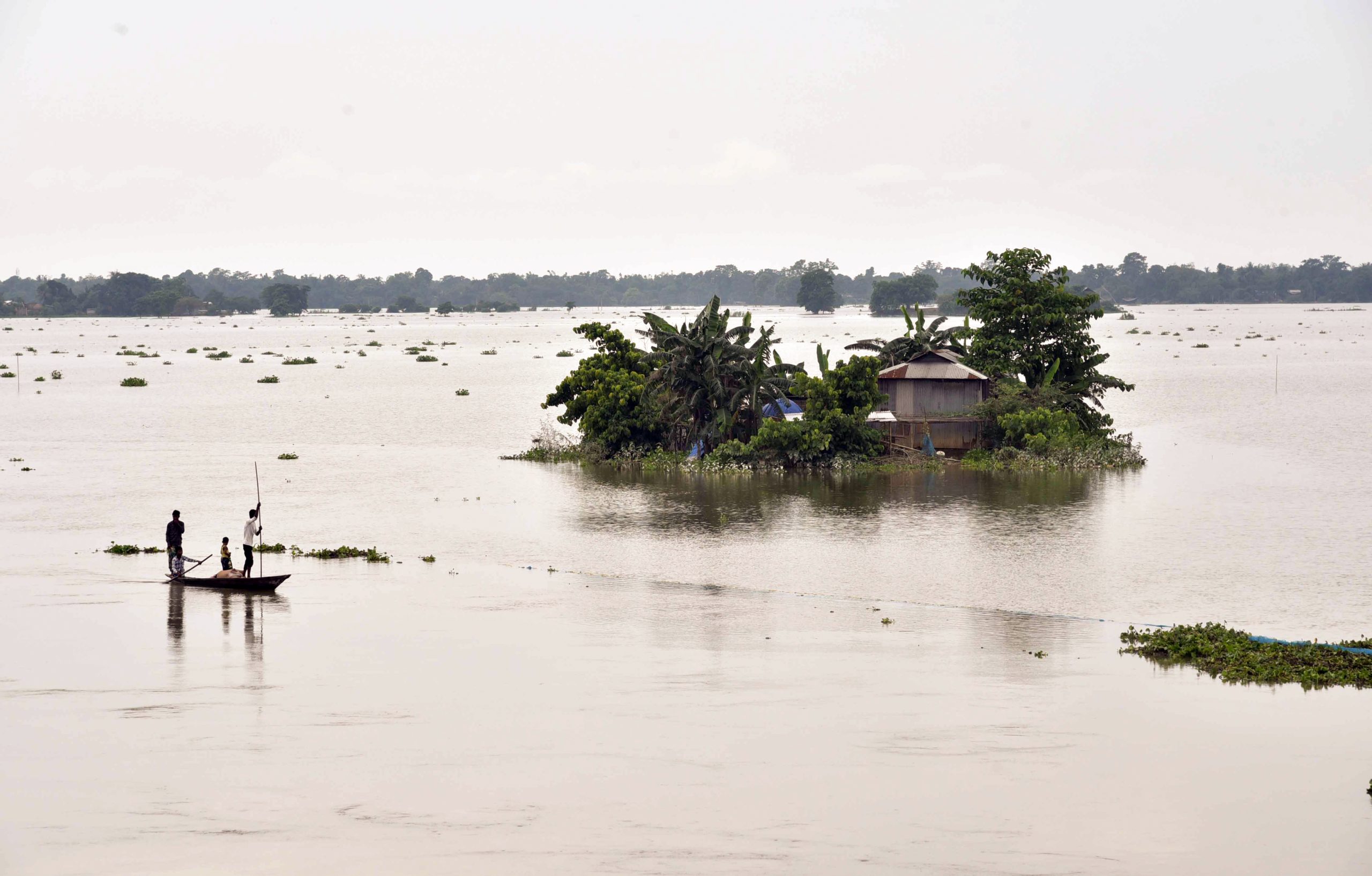 IMD issues alerts as heavy rains trigger floods across northern, eastern India