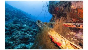 India to seek licences to scout Pacific Ocean for critical minerals