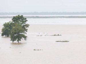 Assam flood death toll stands at 38, 11.34 lakh people affected