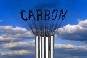 European carbon removal specialists to support new projects in India
