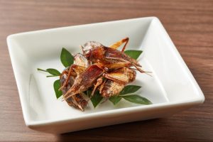 Crickets get crunchy as Singapore approves edible insects amid food security push