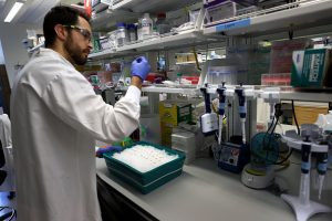 Bird flu spreading faster than 2023 in the EU, data shows
