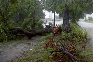 Hurricane Beryl strikes Jamaica as Caymans, Mexico brace for storm's impact