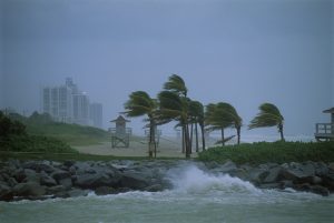 Storm Beryl kills three, knocks out power for 2.7 million in Texas