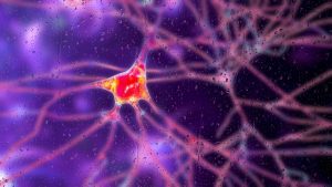 Study finds new gene in progression of Huntington's disease
