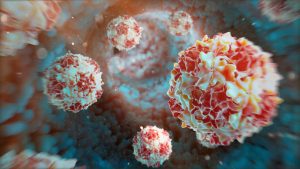 What is known about polio's return to the Gaza Strip