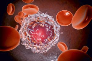 Researchers discover how body's natural killer cells protects from cancer