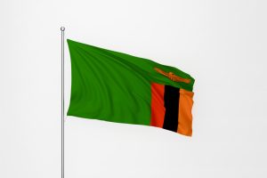 India and Zambia enhance strategic partnership in 4th Foreign Office Consultations in Lusaka