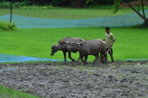 Cabinet approves expansion of Agriculture Infrastructure Fund