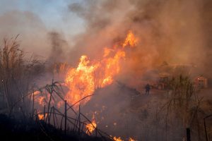 Wildfire fanned by gales menaces Athens suburbs as residents flee