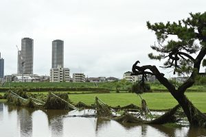 At least 6 dead in Japan as Typhoon Shanshan grinds on
