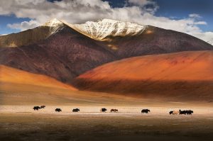 Centre announces five new districts in Ladakh