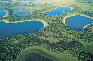 Climate change fueled record early fires in Brazil's wetlands, study says