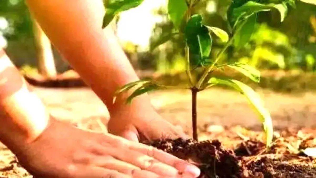 Plant4Mother: Over 800 institutions to plant more than 3,000 saplings nationwide