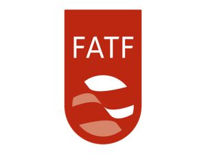 FATF praises India's efforts against illicit finance but warns of terrorism threats