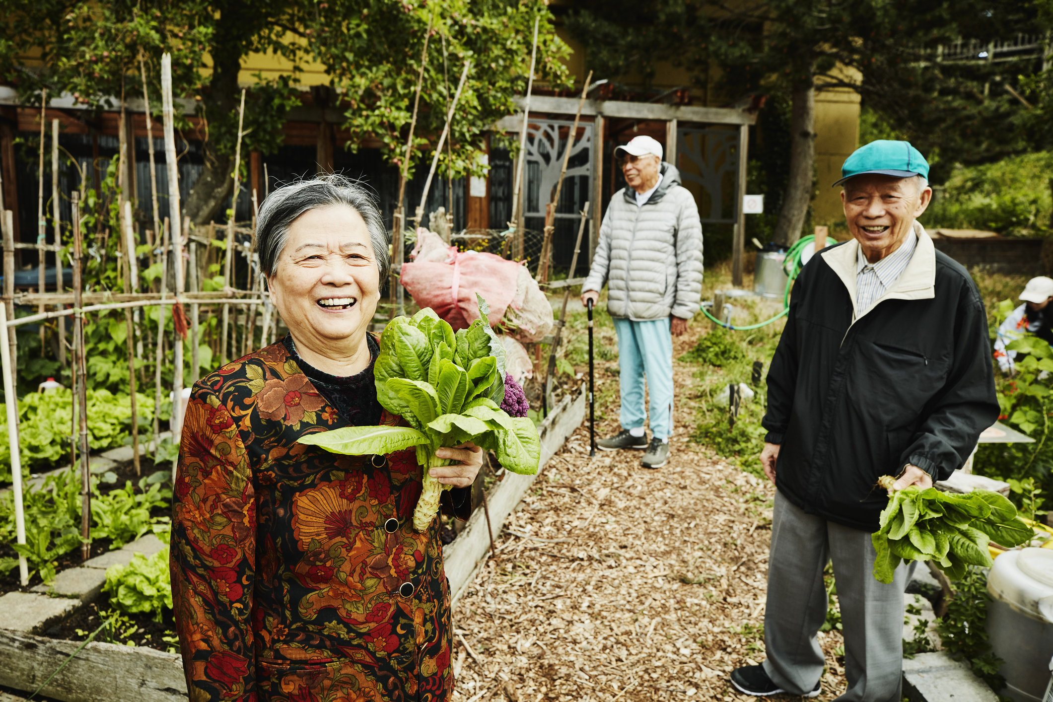 Lawmakers review plan to raise retirement age in fast-greying China