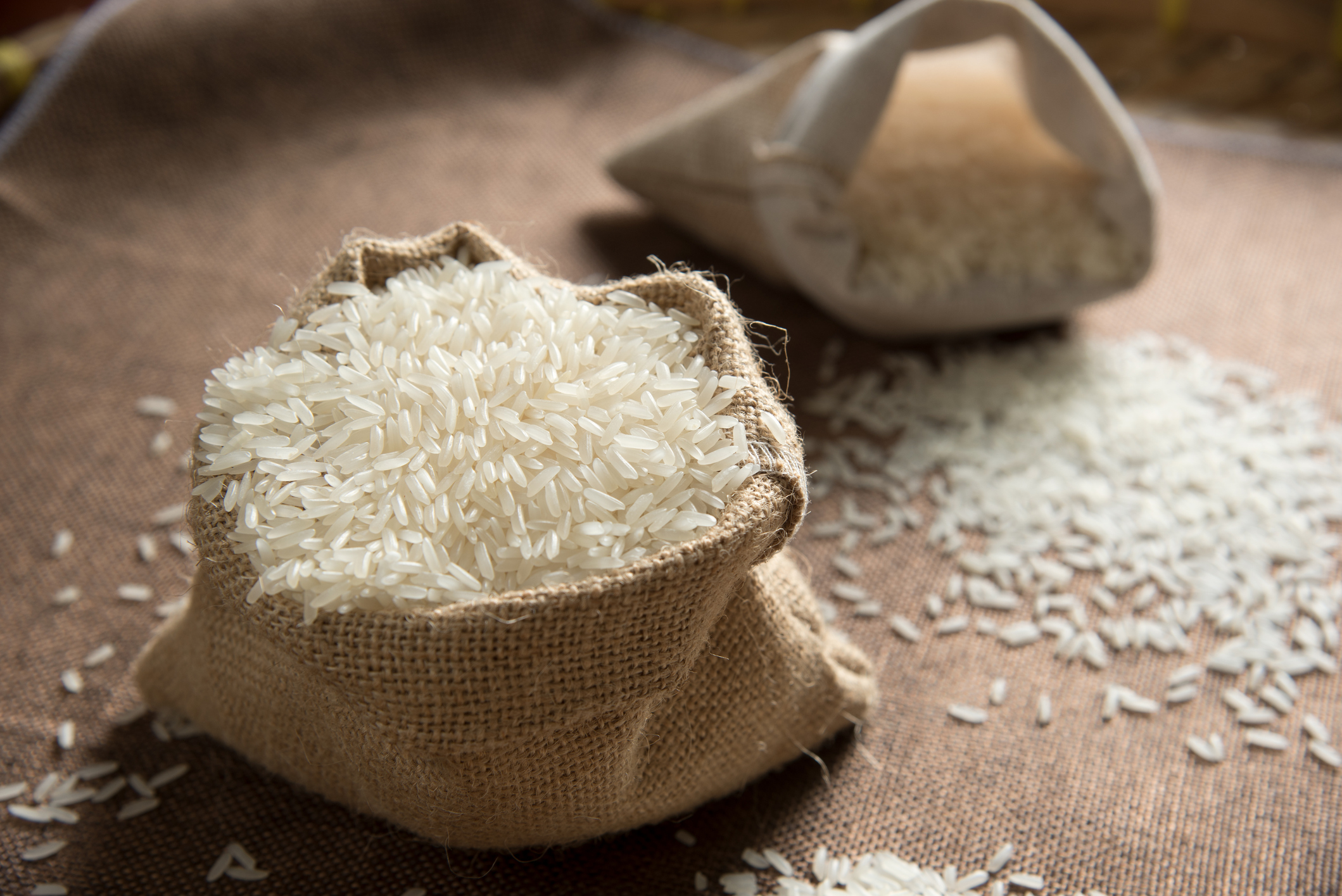 Basmati rice exports seen surging after floor price removed