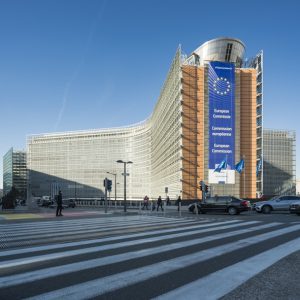 What is the European Commission?